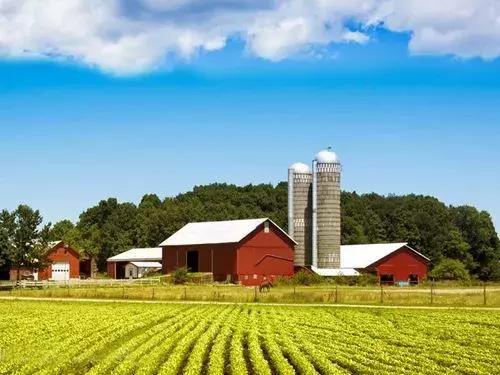 能发家致富的植物,能发家致富的草
