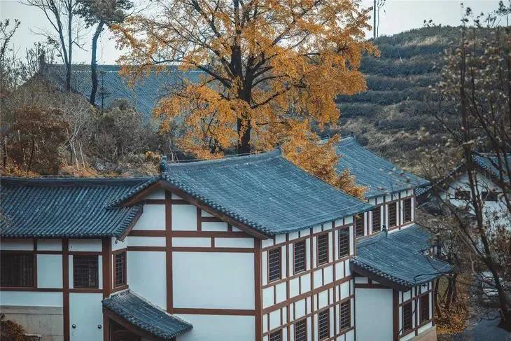 网红离开美颜滤镜不好看,网红美颜滤镜强大