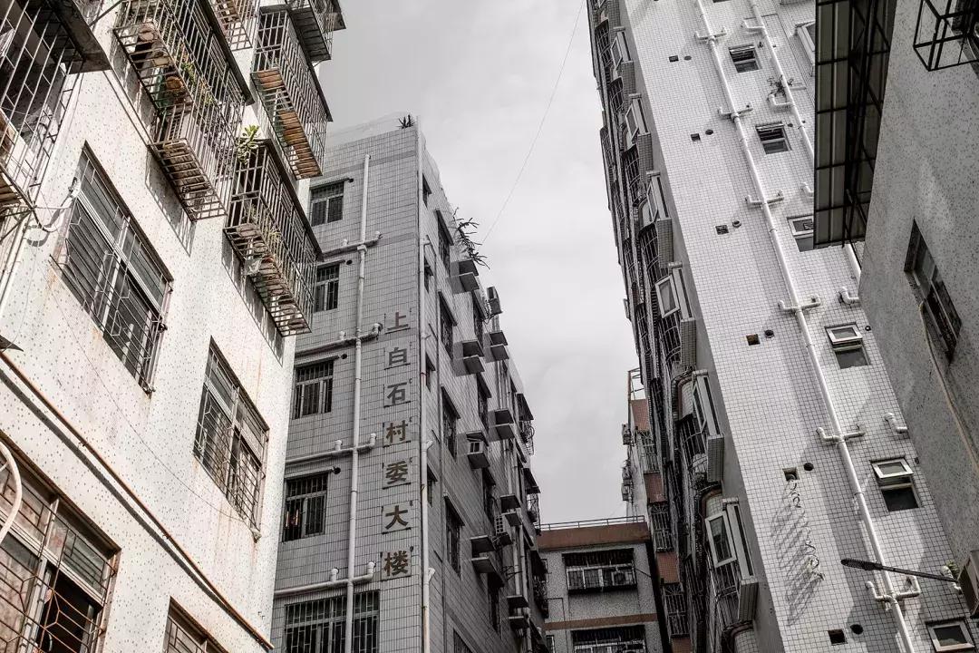 白石洲消失的原因,白石洲今日消息