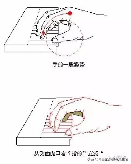 自学电子琴入门电子琴指法如何学,零基础弹电子琴教程母亲