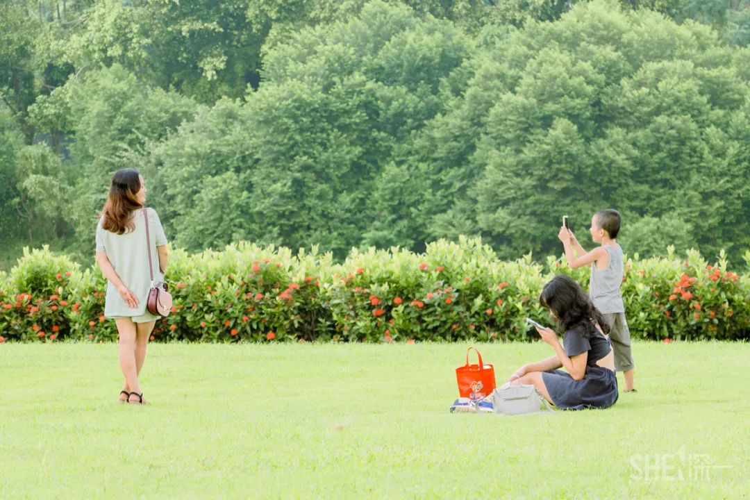 深圳商场爆满,深圳为什么商场那么多