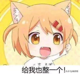 盘点各种奇葩的模拟器,盘点那些最奇葩的模拟器