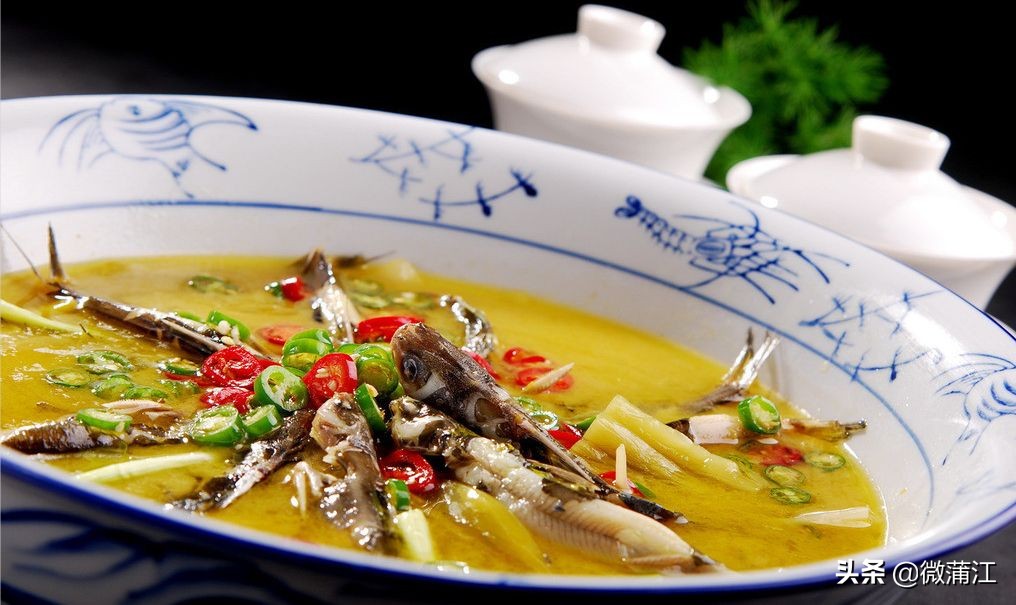 探访深山竹林倍感神清气爽,蒲江遥望雪山感受诗意栖居