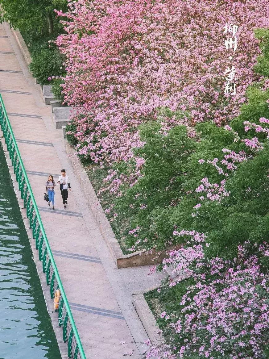 广西有座小城,广西的一座小县城