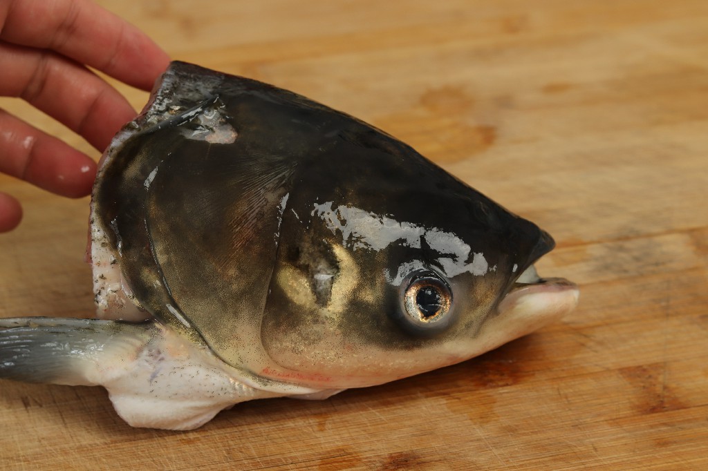 热门鱼头做法你学会了吗,这才是鱼头汤的正确做法