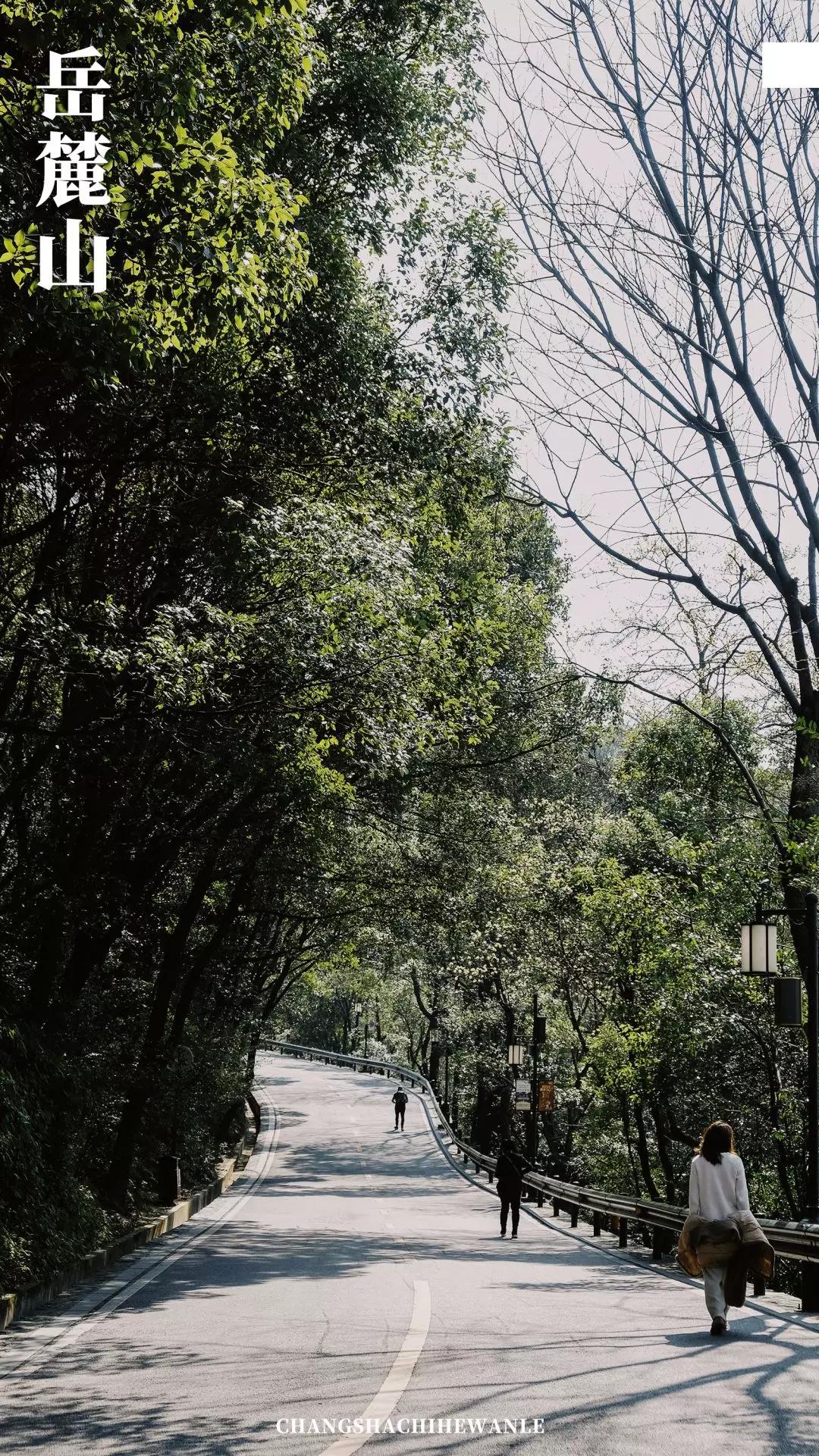 带你在长沙感受一场如梦如幻,带你看看真正的长沙