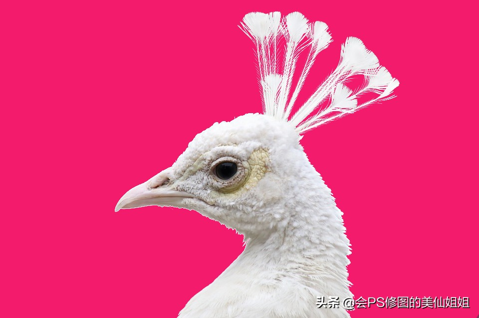 ps复杂人像通道抠图教程,ps通道混合器抠图教程