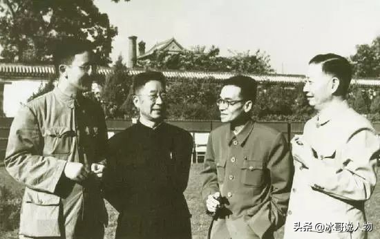 站起来的霍金图片,站起来的霍金