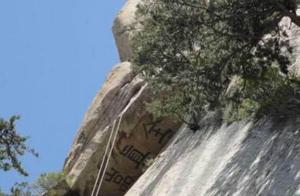 中国华山,中国华山是哪个省的