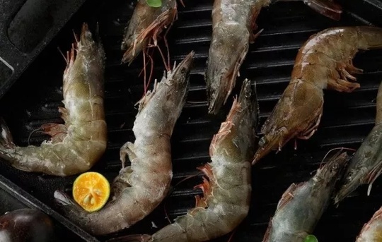 在成都生活如此的美好,在成都生活真好