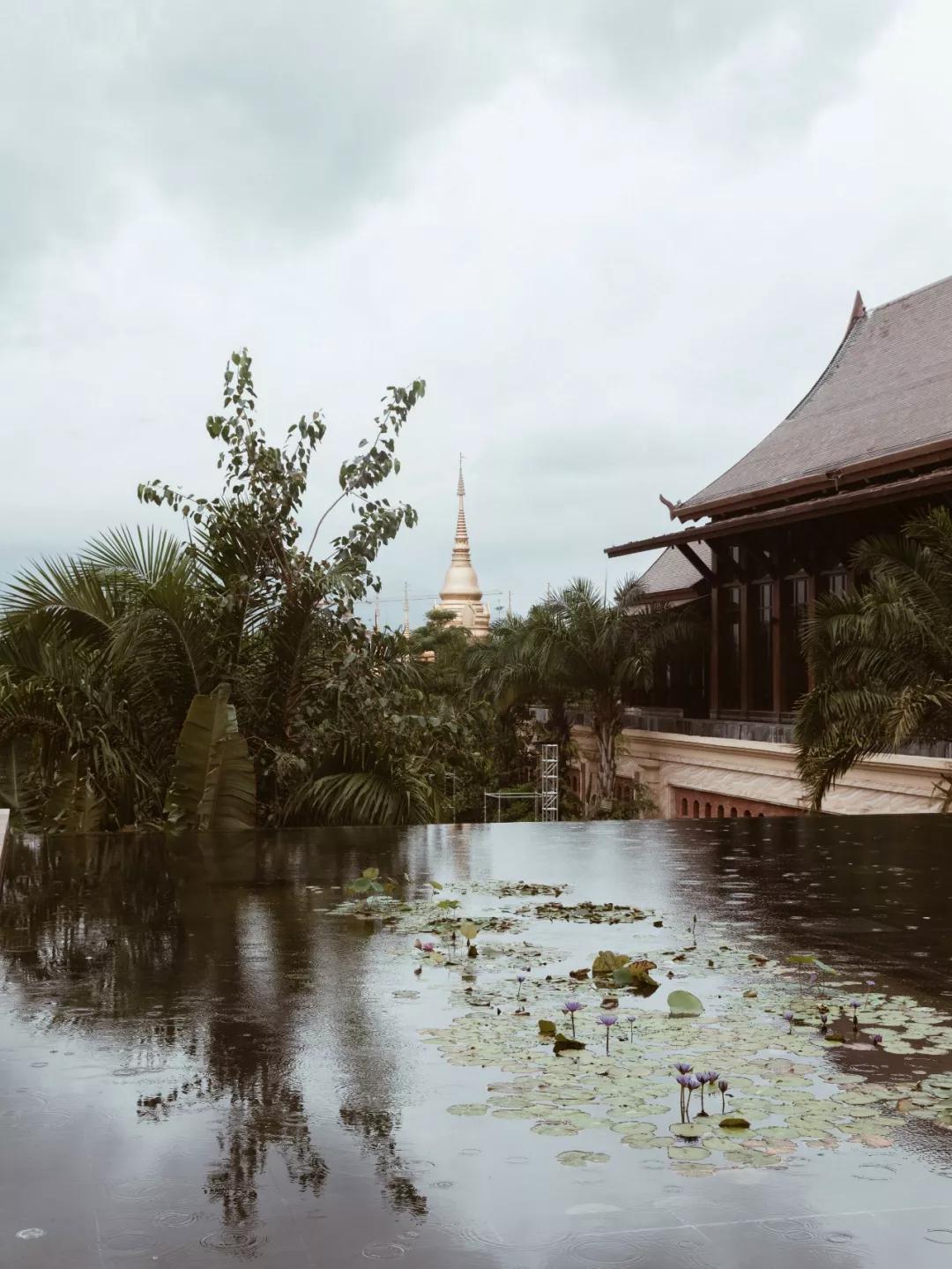 如何正确搭配显高又显瘦春游穿搭,一身非常时尚的穿搭既显高又显瘦