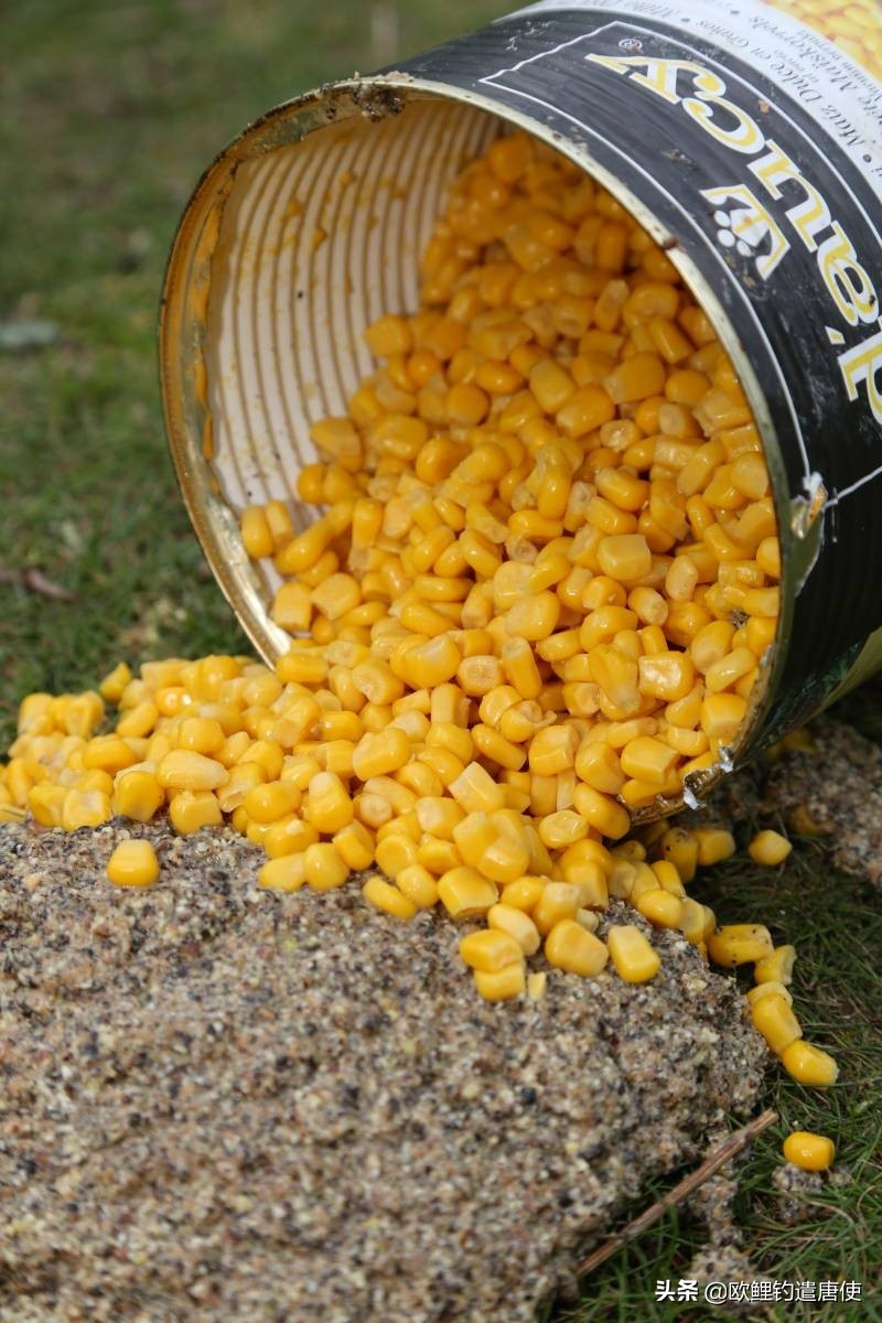 拉饵压几目浮漂好,怎样从浮漂判断饵的状态