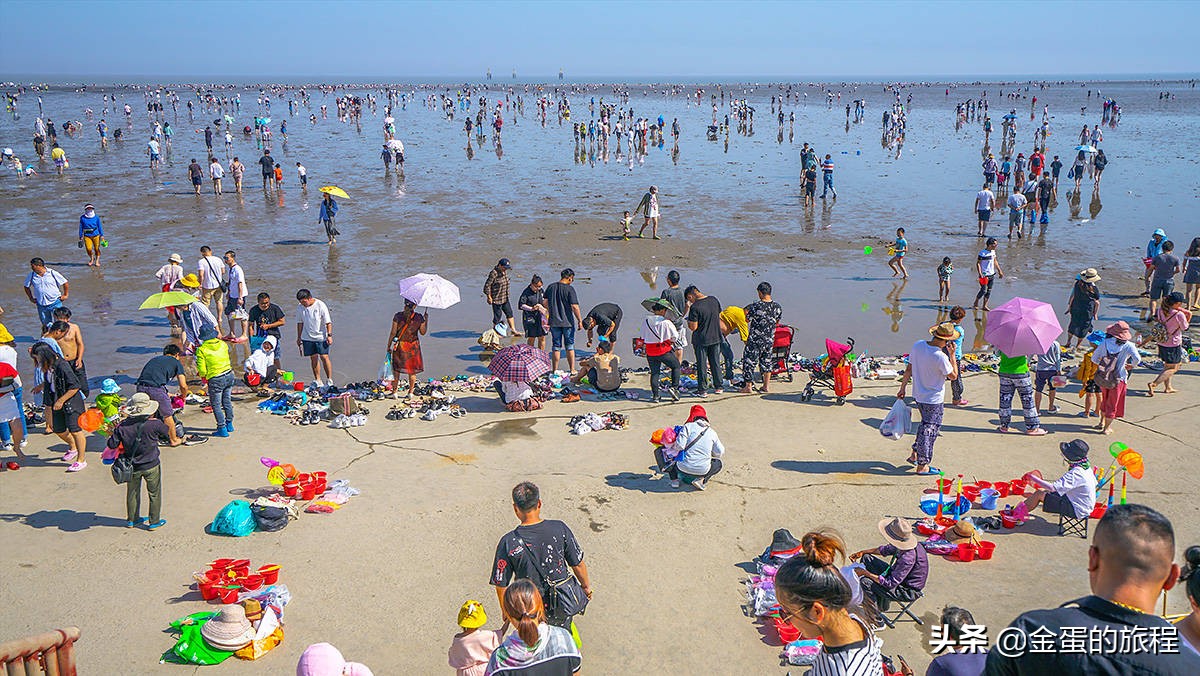上海奉贤周末带娃好去处10岁左右,上海奉贤周末遛娃好去处推荐