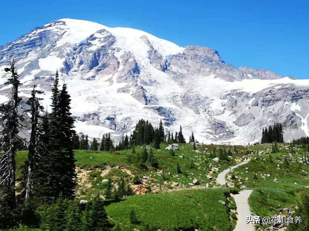 18天我和俩娃，西雅图家庭自由行，民宿、雪山、游艇……好玩刺激