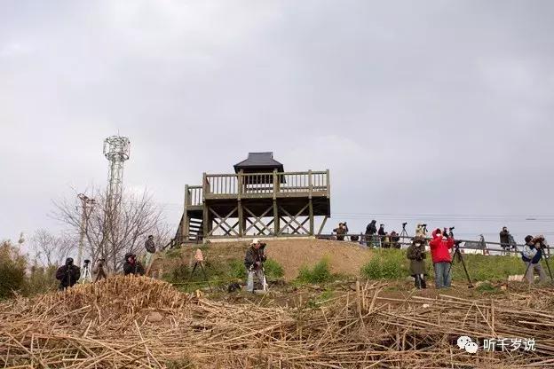 日本熊本县,日本熊本