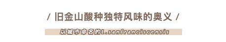 为什么旧金山属于地中海气候,旧金山为什么是美国最富的地区
