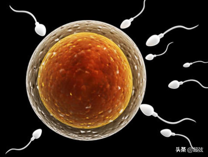 新冠状病毒最近被发现,新冠状病毒对男性的影响