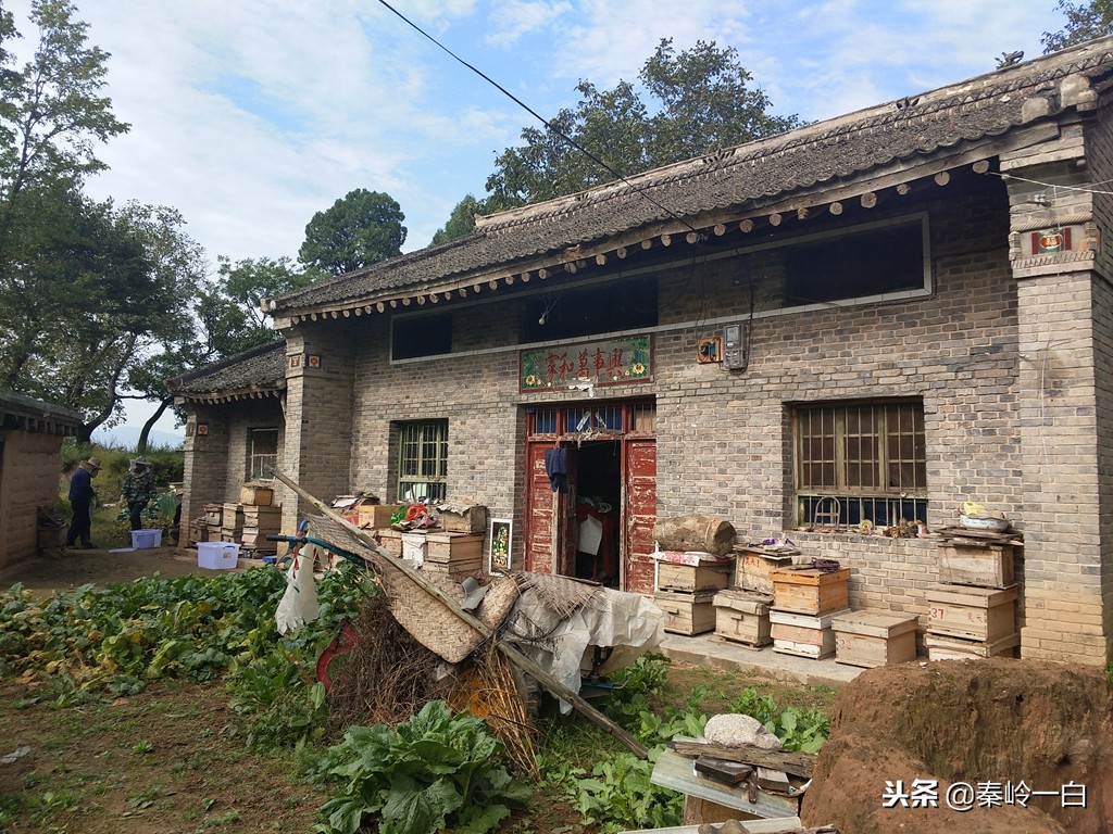 怎样识别蜂蜜纯天然正宗蜂蜜,好的蜂蜜常用知识