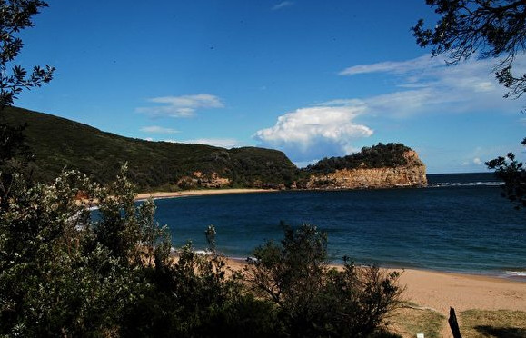 生活中常见的致命毒虫,澳洲常见的几种虫子