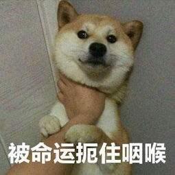 万豪和你：一夜回到解放前，马上看看你的万豪账户！立刻！