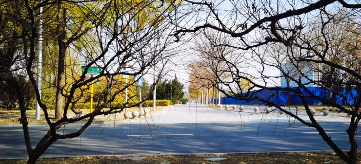 温阳路地铁站地图,温阳路地铁