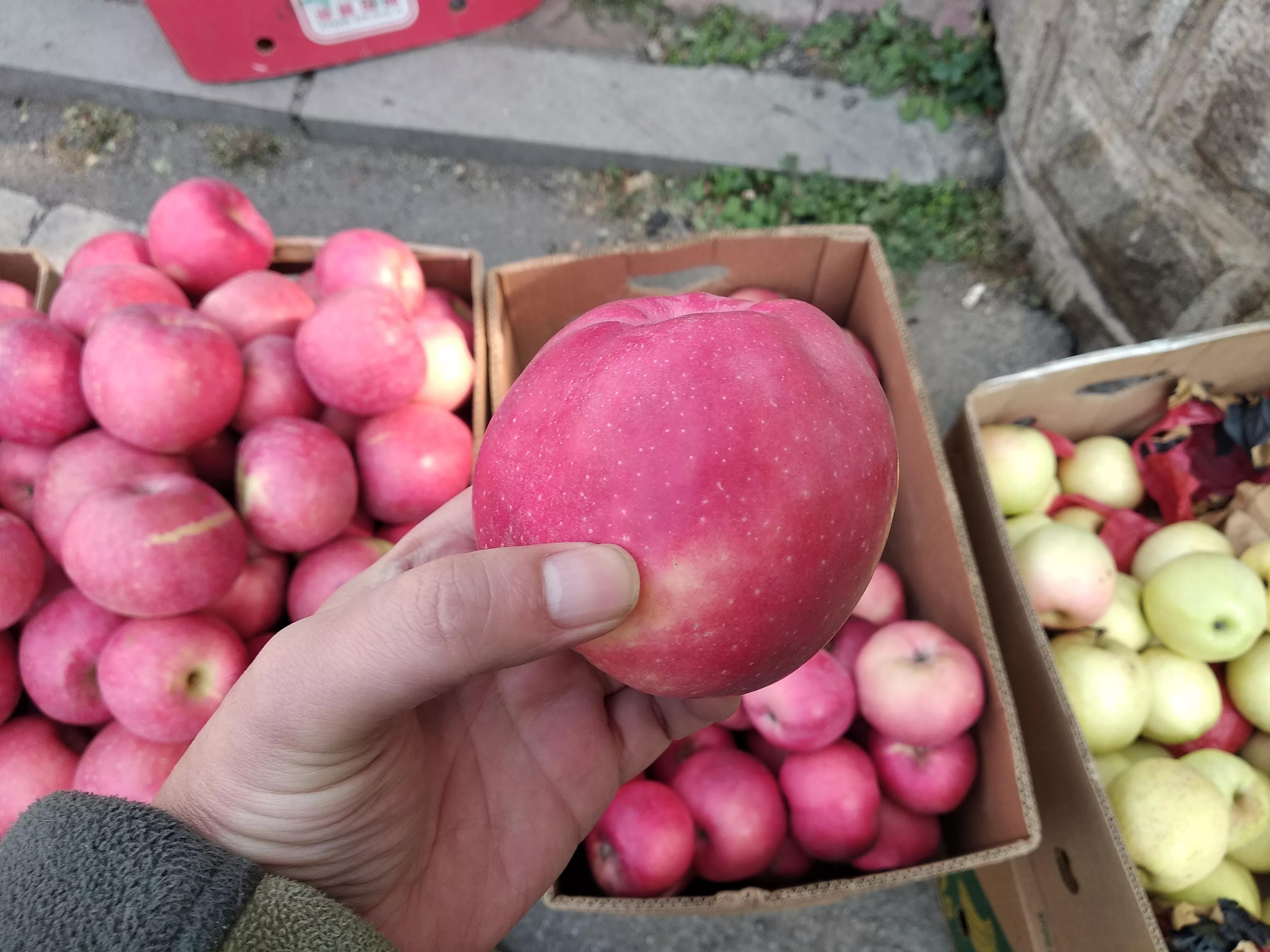 苹果应该买哪种品种,买苹果选哪种好吃