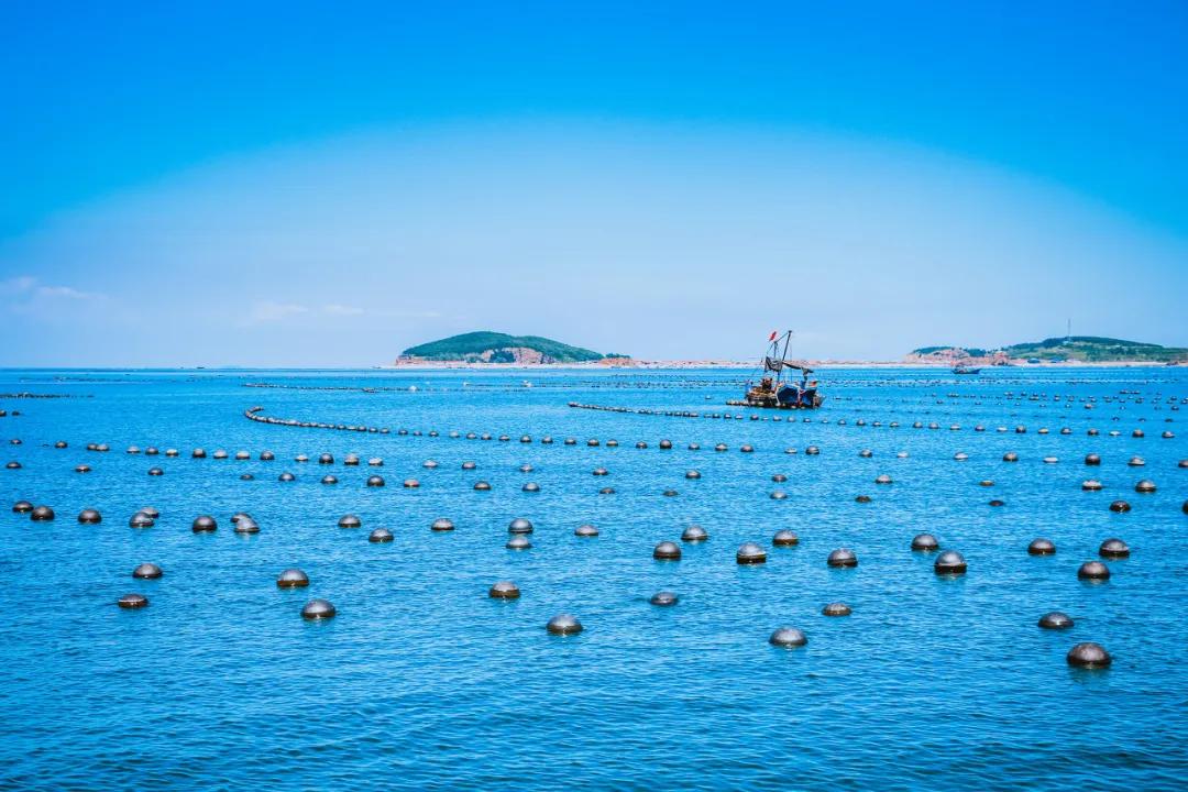 大连是座浪漫的城市,大连这座城市真的好美