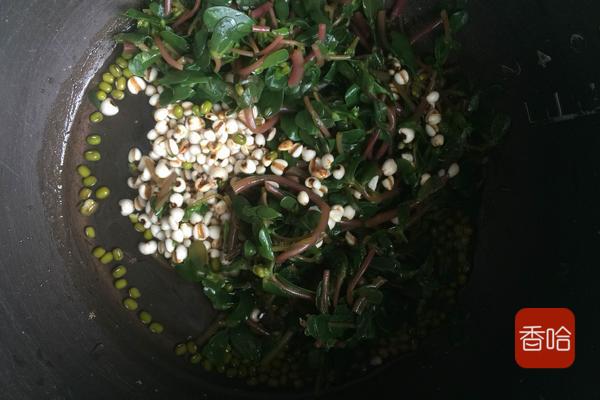 马齿苋怎么吃好吃又简单,马齿苋蒸菜馍怎样不发酸呢