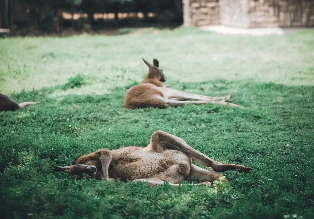 南昌是不是很好玩,南昌这个城市还值得去吗