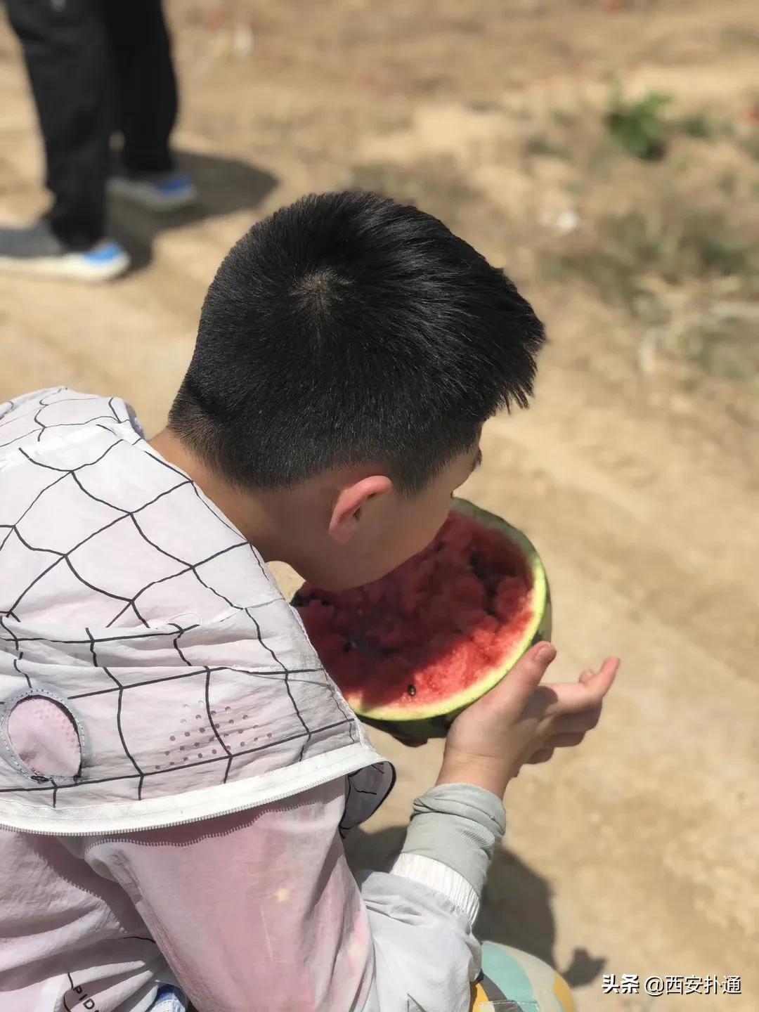 蒲城县好吃的地方推荐晚上,蒲城吃的最多的地方