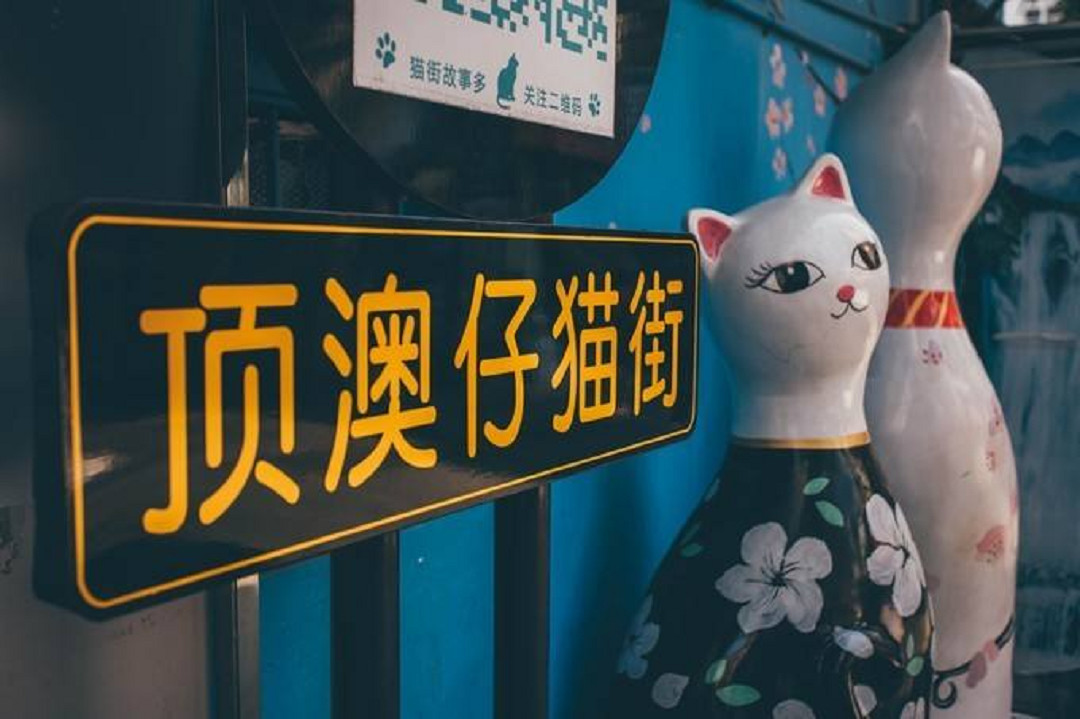 厦门的暑假去哪里自由行比较好,暑假厦门旅游攻略三天