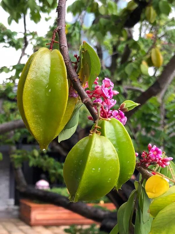 2022年世界手机摄影大赛征稿,手拍世界摄影网