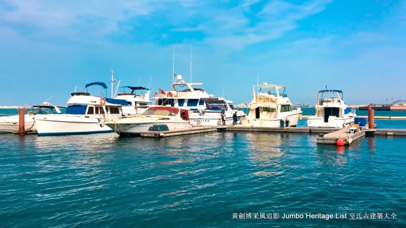 第4590回：沙尘暴故里巴林岛，儒艮聚集鸬鹚繁殖