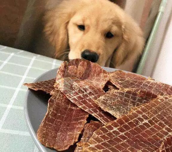 自制狗粮真的好吗,狗粮自制简单方法