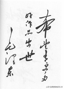 毛*东泽**周恩来*德朱**等书法一览：字如其人才华了得
