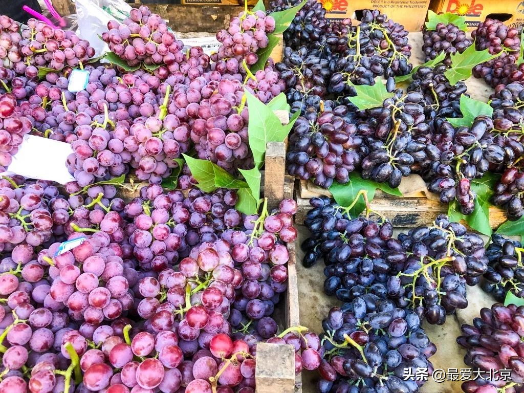 最便宜的早市品种,北方早市有哪些品种