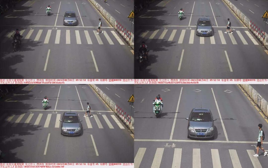 于都礼让行人上哪里举报,于都五中不礼让行人抓拍