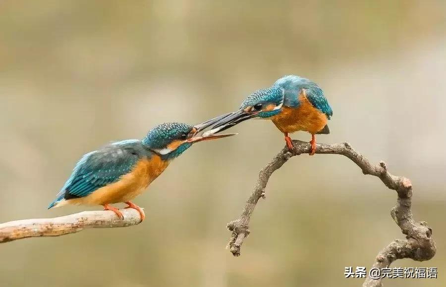 今天2.1，2月第1天，谁编的，太好笑了，给群里乐一乐~