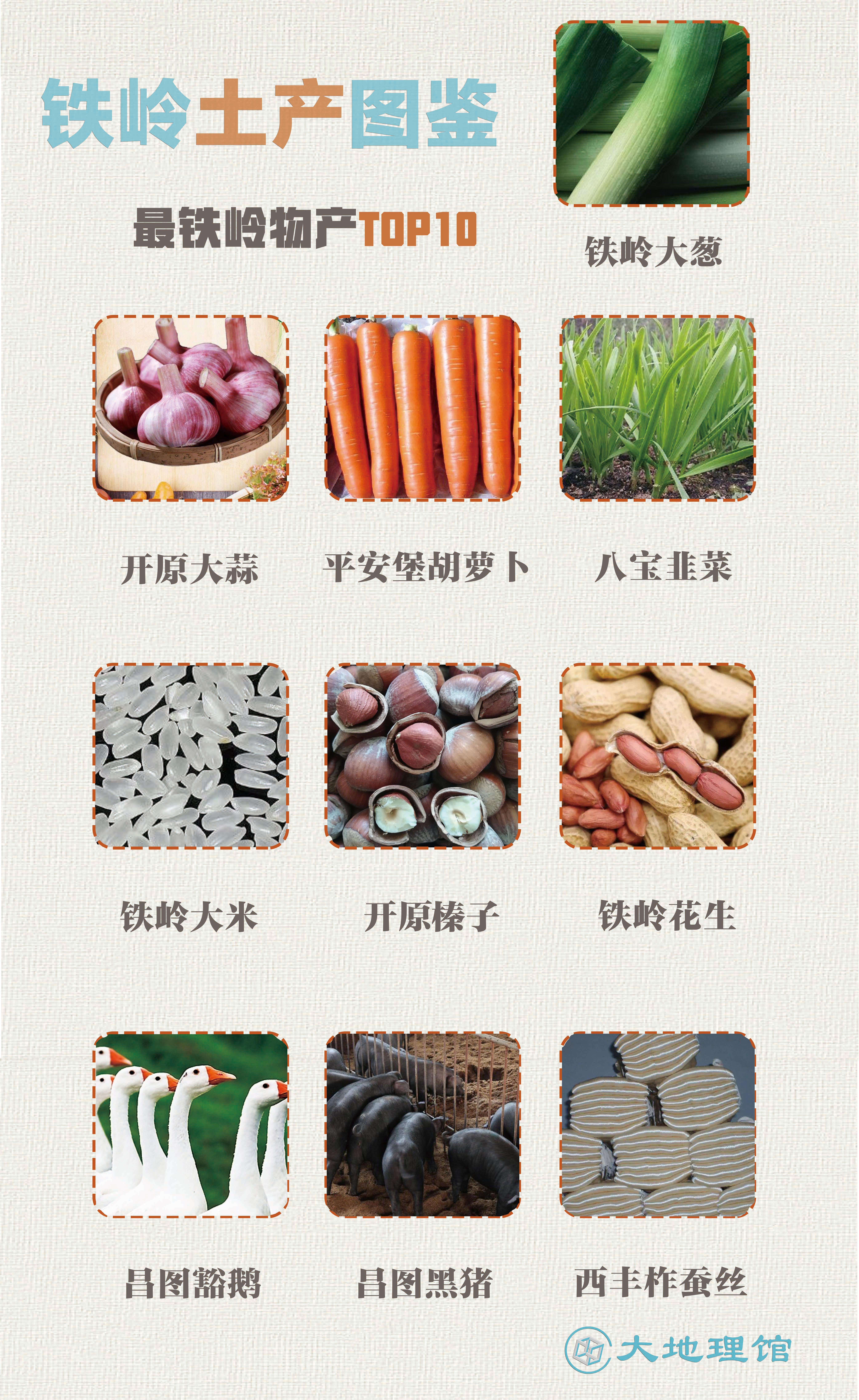 开原第一狠人视频,铁岭东北城