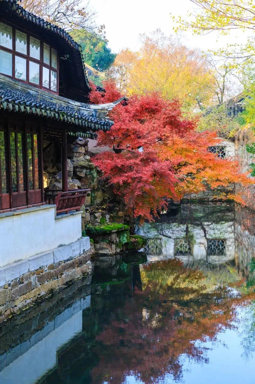 枫叶租车成都店,苏州旅游自驾租车