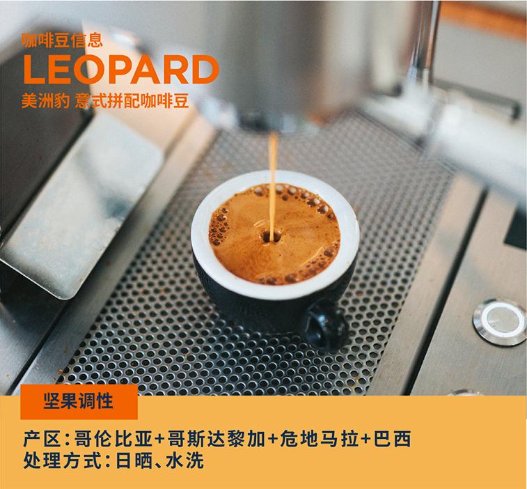 一张图看明白咖啡分类,五分钟搞懂咖啡分类