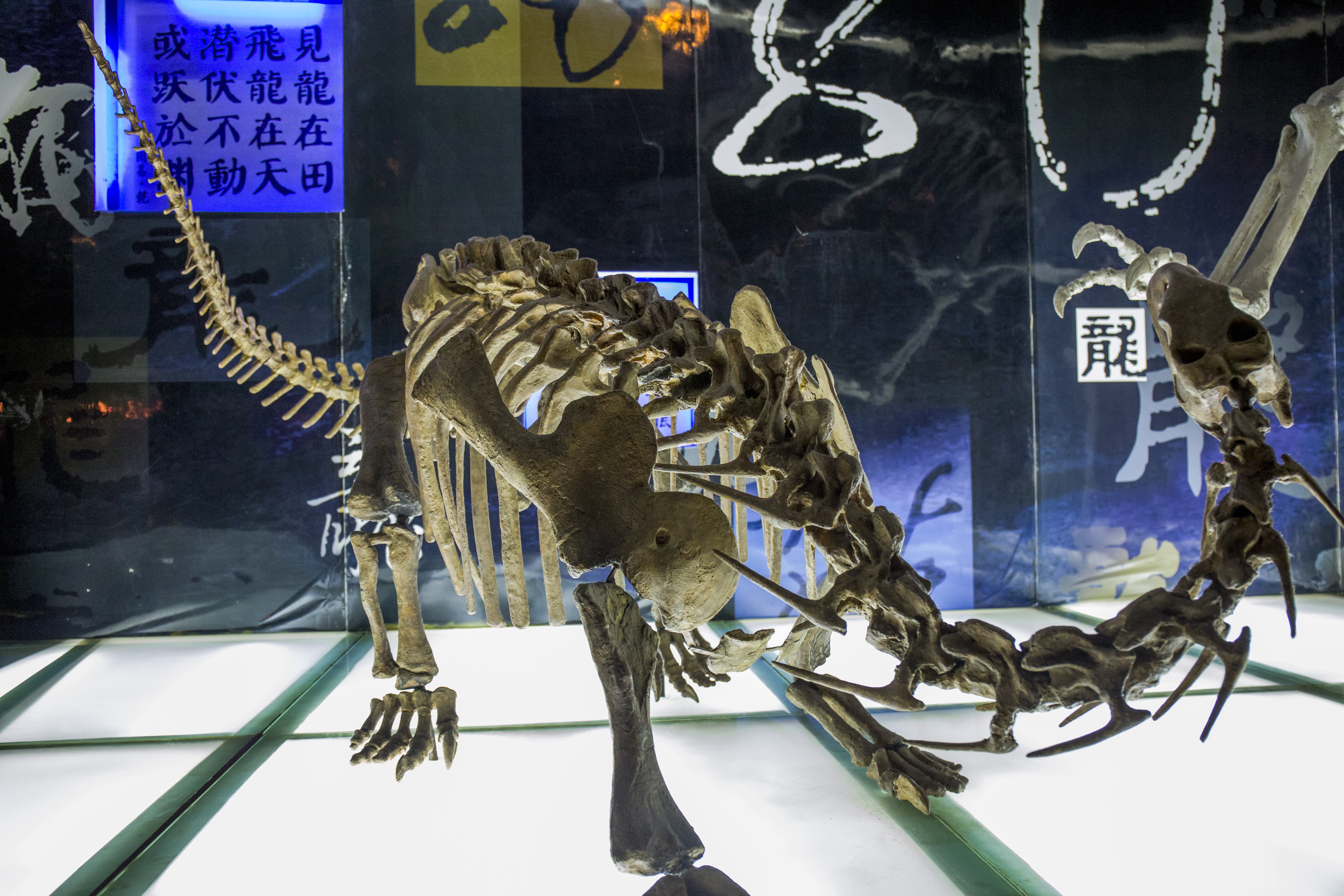 常州恐龙园亲子酒店,常州最豪华的酒店