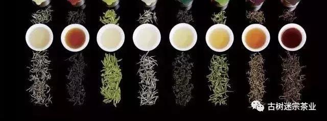 普洱生茶为啥说是绿茶,普洱陈香是真是假