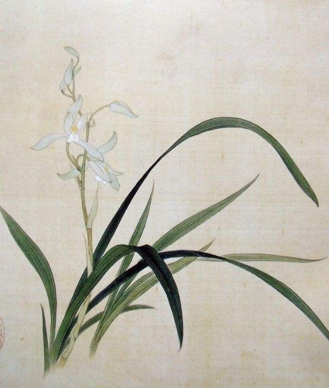 兰花名诗100首,关于兰花8句古诗