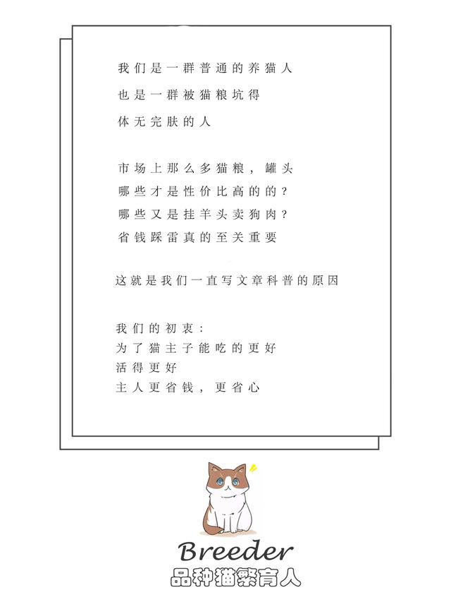 猫咪半夜老是叫怎么回事,猫咪很吵叫不停怎么办