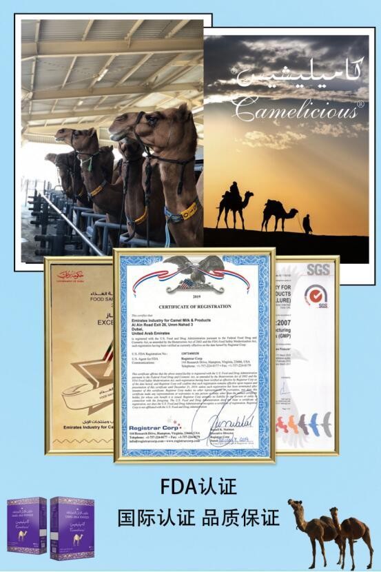 怎么鉴别骆驼奶的质量,正宗天然骆驼奶该怎么选才好