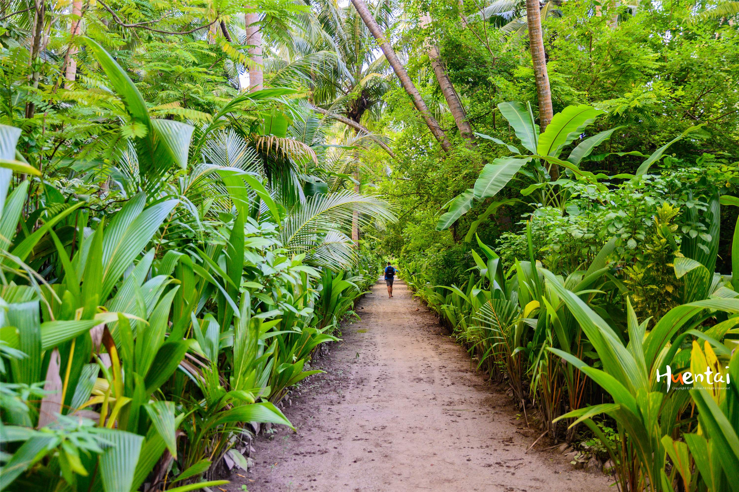 冬天去马尔代夫可以玩什么,冬天去马尔代夫游泳