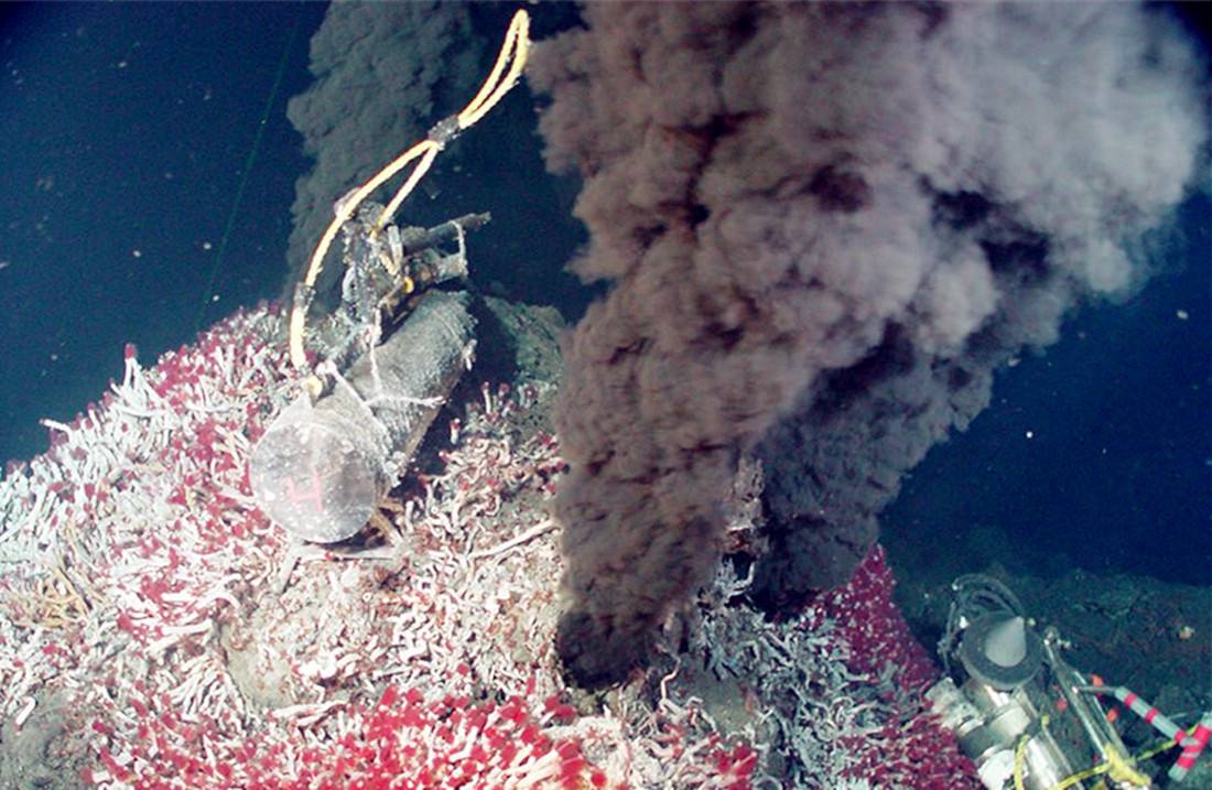 450度高温下虾怎么吃,海底450度的虾怎么煮熟