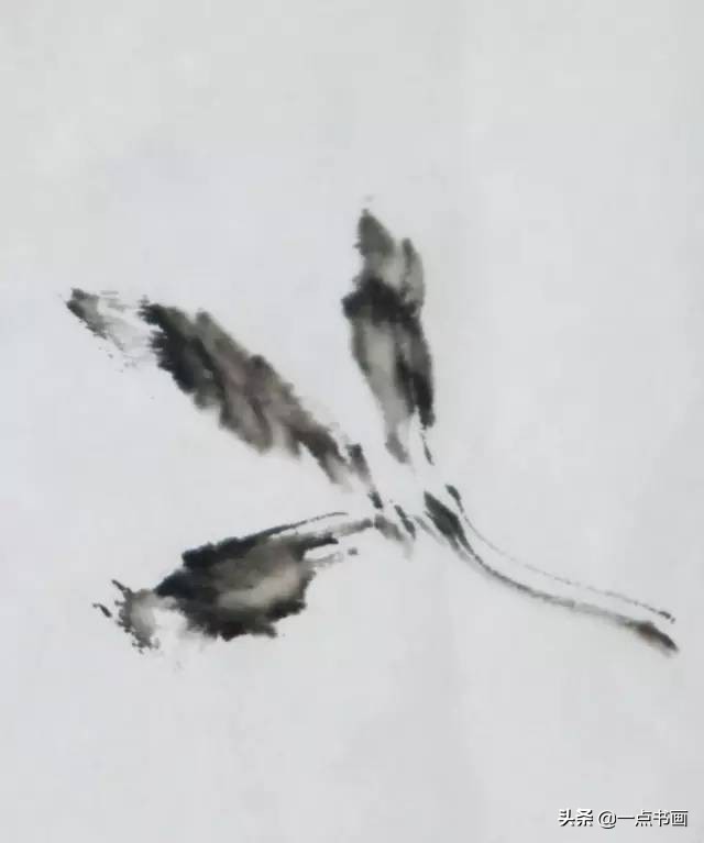 王绣写意牡丹画法步骤,王兮然写意牡丹画法视频大全