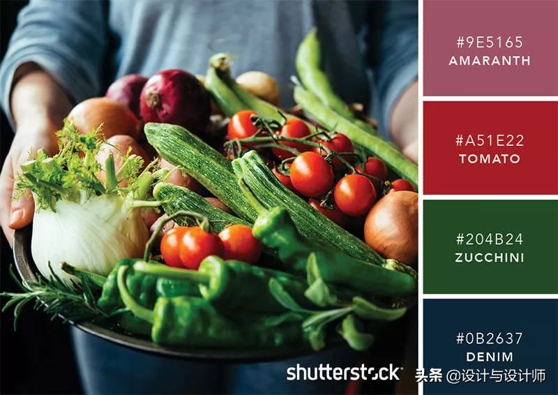 设计色彩总结200字左右,设计配色6种颜色